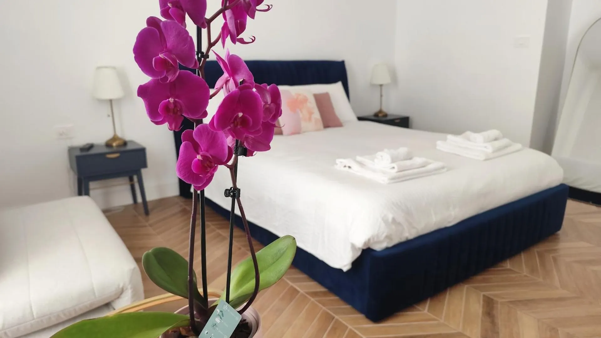 Vatican Eco Suite Roma Italia